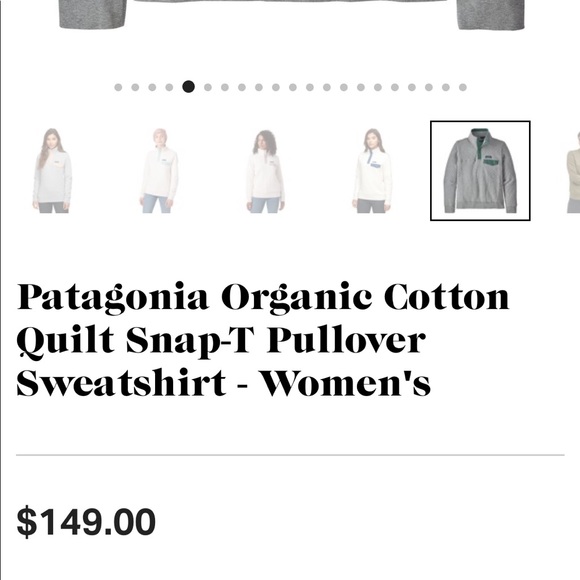 Patagonia Pullover - size L, Retails for $149 - Picture 3 of 3